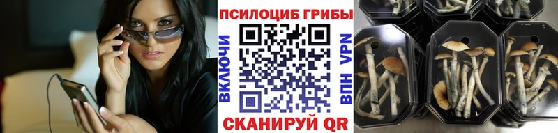 Галлюциногенные грибы GOLDEN TEACHER наркошоп блэк спрут ссылка Саки